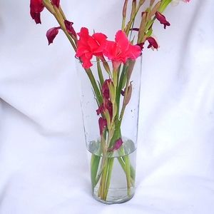 Lg Glass Vase